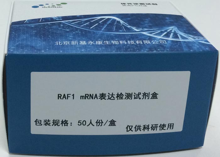 RAF1 mRNA